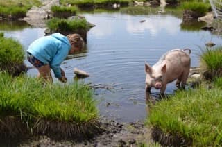 Un ciclo naturale di sapore e libertà