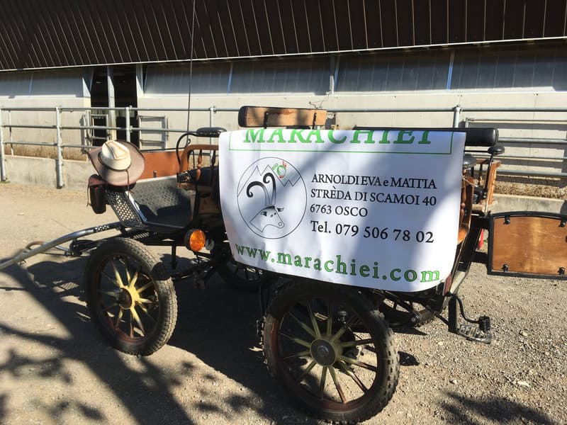 Marachiei farm