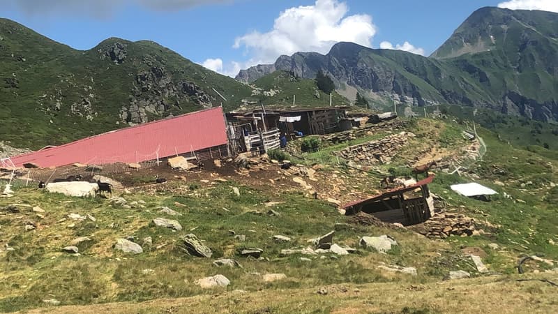 Marachiei farm